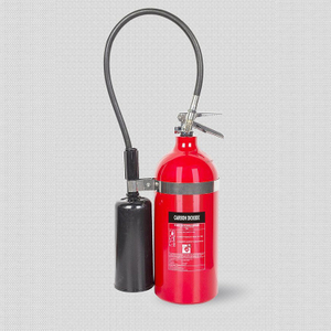 Extincteur en aluminium de 10 lb